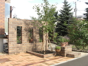 CIMG7766.JPG