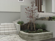 CIMG9578.JPG
