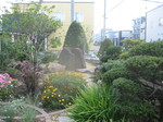 IMG_0234.JPG