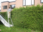 IMG_0303.JPG