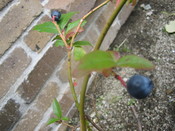 IMG_0396.JPG