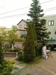 IMG_20150909_151332.jpg