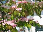 IMG_2624.JPG