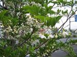 IMG_2632.JPG