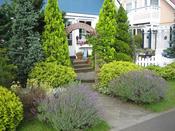 IMG_3446.JPG