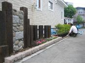 IMG_5250.JPG