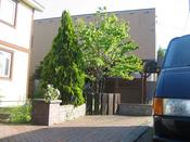 IMG_5449.JPG