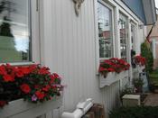 IMG_5723.JPG