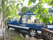 IMG_5943.JPG