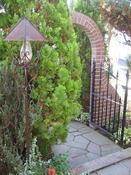 IMG_6061.JPG
