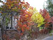 IMG_6100.JPG