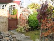IMG_6105.JPG