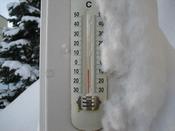 IMG_6287.JPG