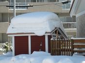 IMG_6345.JPG
