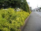 IMG_6792.JPG