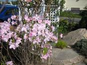 IMG_6997.JPG