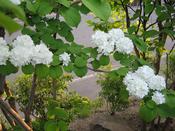 IMG_7165.JPG