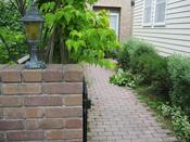 IMG_7239.JPG
