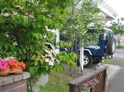 IMG_7276.JPG