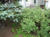 IMG_7278.JPG