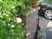 IMG_7314.JPG
