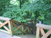 IMG_7537.JPG