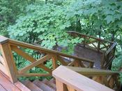 IMG_7552.JPG