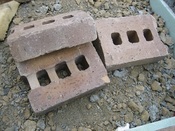IMG_7895.JPG