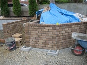 IMG_7896.JPG