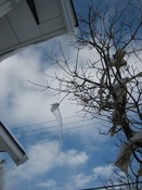IMG_8277.JPG