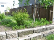 IMG_8904.JPG