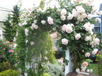 IMG_9910.JPG