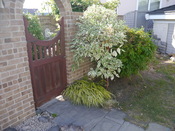 P1000920.JPG