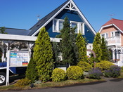 P1000931.JPG