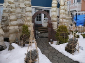 P1010154.JPG