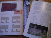 P1010223.JPG