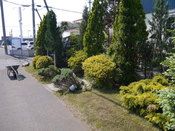 P1010825.JPG