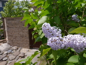 P1010852.JPG