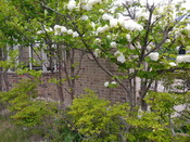 P1010855.JPG