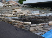 P1020134.JPG