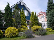 P1020148.JPG